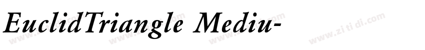 EuclidTriangle Mediu字体转换